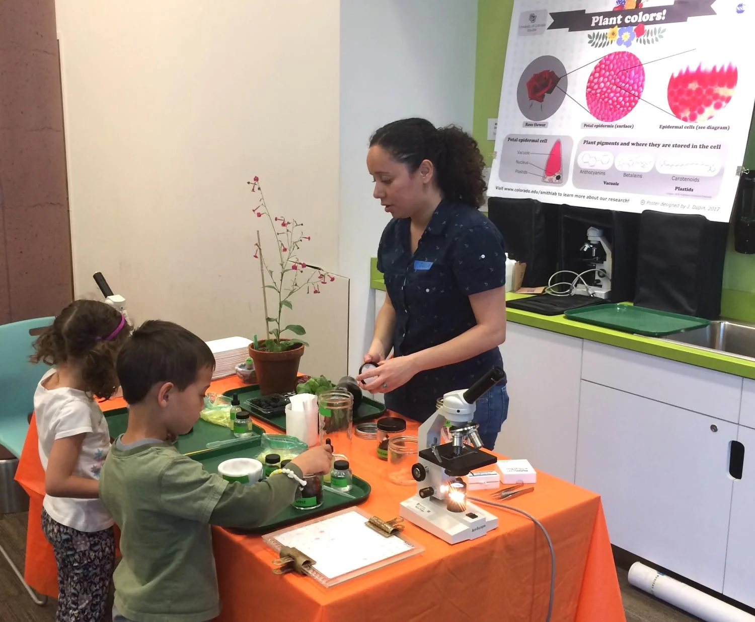 Plant pigment outreach experiment