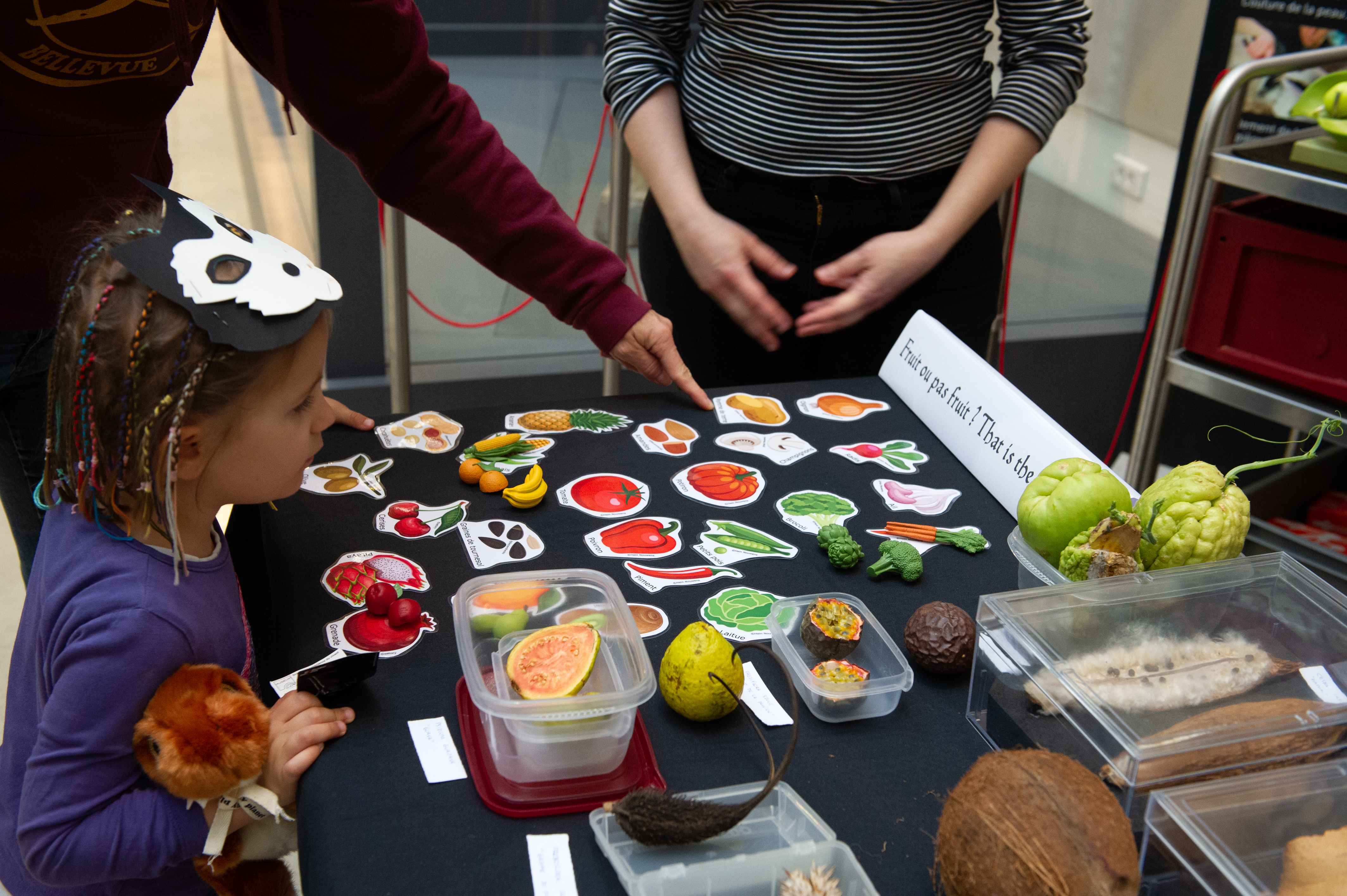 Girl playing game at fruit stand at City Nature Challenge 2022 by Museum de Toulouse