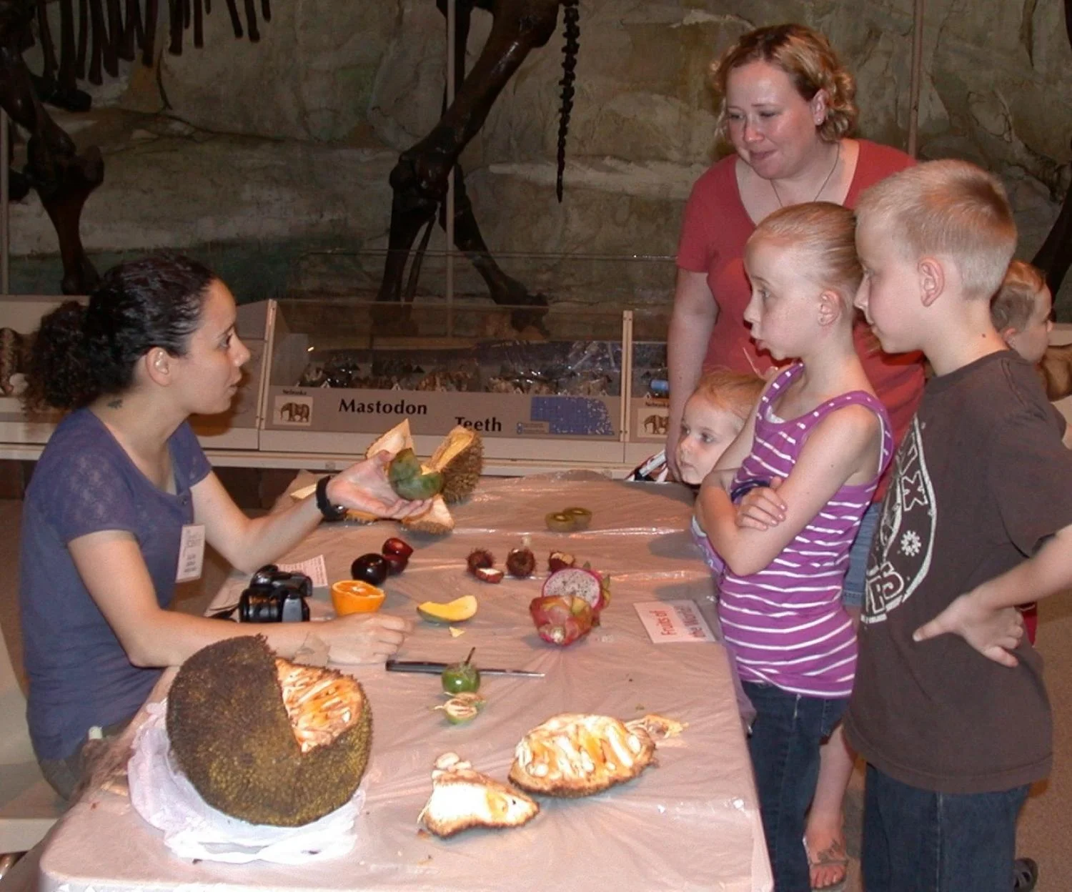 The Science of Fruits table at Sunday with a Scientist event 2012 by Nebraska State Museum